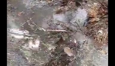 Се урна воен авион со 32 патника во Нигерија- пронајдени се делови на тела (ВИДЕО)
