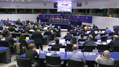 Документот за проширување на Унијата презентиран пред АФЕТ 