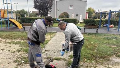 Општина Илинден: Извршена есенска дезинфекција и дератизација