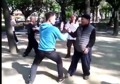  Кога дедо ќе те научи на памет! Момче предизвикало постар човек и добил кунг - фу лекција среде бел ден!(видео)