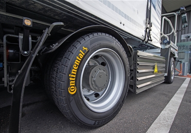 Continental сака да произведе автогуми од глуварчиња 