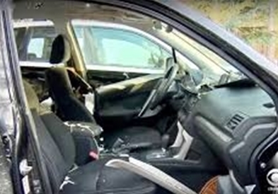 Гладна мечка уништила автомобил во потрага по гумени бонбони (ВИДЕО)