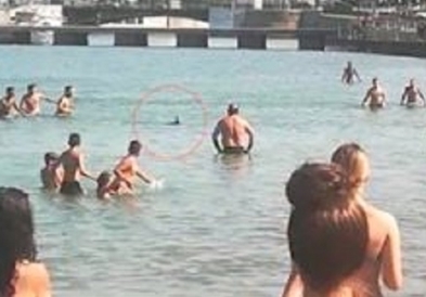 Видео: Сабјарка убиена од пливачите на плажа во Грција