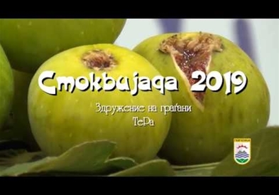 Прогласени победниците на гевгелиската Смоквијада
