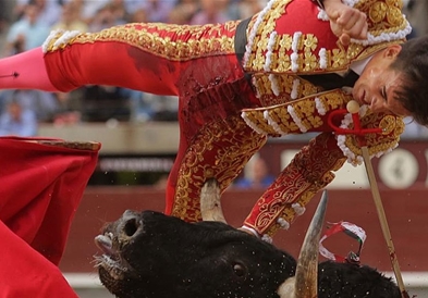Матадор настрада на корида во Шпанија – бикот два пати му ги прободе препоните  (ВИДЕО)