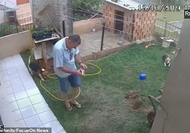 Сакал да запали легло на лебарки, па го дигнал дворот во воздух (ВИДЕО)