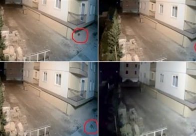 Видео: Куче го предосети земјотресот, се разбуди и побегна!!!