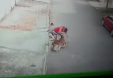 Видео: Момче со голи раце спаси дете од пит бул