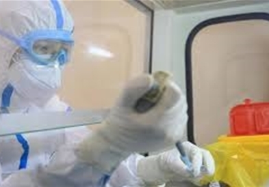 Досега регистрирани повеќе од 81.000 случаи на заболени од коронавирус во 40 земји во светот