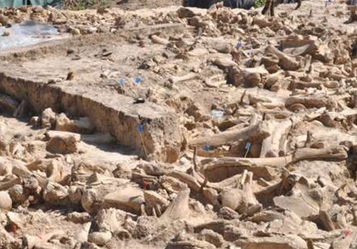 Во Русија е откриена мистериозна градба од коски на мамути, стара 25 000 години (ФОТО)