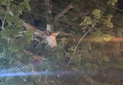 Видео: Во Колумбија „ликот на Исус се појави на дрво“, луѓето излегувале од карантин за да го видат чудото