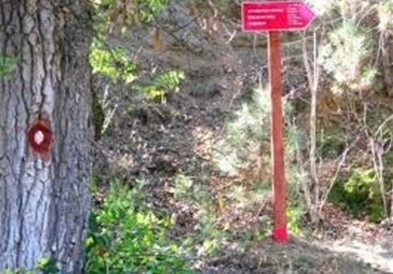 Планинари од спортскиот клуб ,,Голак" го искачија врвот ,,Бејаз Тепе" на планината Средна