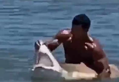 Американец со голи раце фати ајкула и со добра причина и ја отвори устата (ВИДЕО)