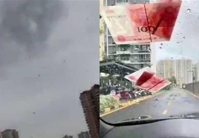 Фрлал пари низ улица среде сообраќаен метеж,завршил во затвор (ВИДЕО)