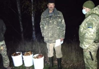 Полицијата во зоната околу Чернобил уапси собирачи  на печурки?!