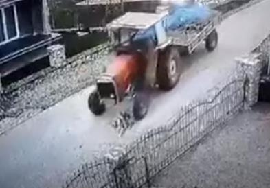 Тракторист брка и намерно гази куче (Вознемирувачко видео) 