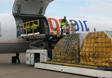 Фото: Во Србија пристигна првата пратка вакцини од Фајзер