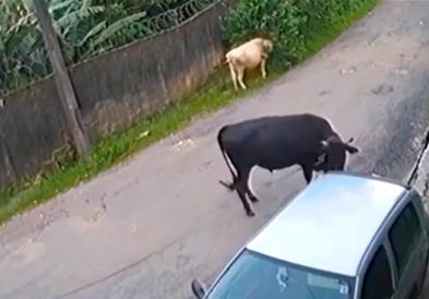 Видео: Бик уништи автомобил