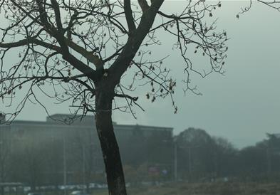 Oблачно, кон крајот на денот дожд и снег