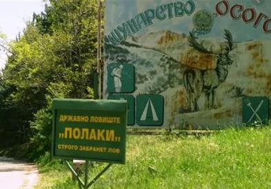 Се набавува дивеч за ловниот резерват Полаки на Осоговските Планини