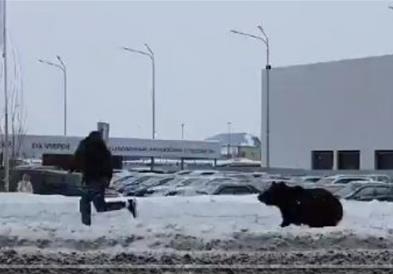 Видео: Човек бега од мечка во сред град во Сибир, Русија
