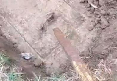 Му се слошило кога открил што има во кутијата, што ја нашол во дворот (ВИДЕО)