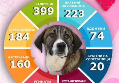 Лајка одбележува 6 години од своето постоење