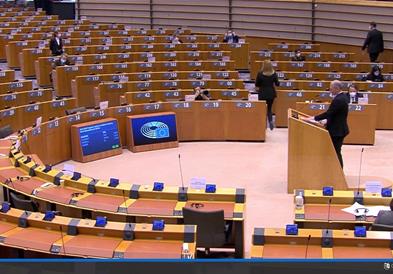 Комитет на Европарламентот прифати петиција за поддршка на македонското малцинство во Бугарија