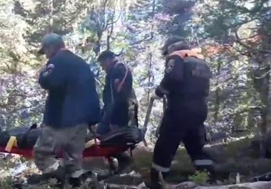 Трагедија во Русија: Девојче загина во напад на мечка врз група туристи (ВИДЕО)