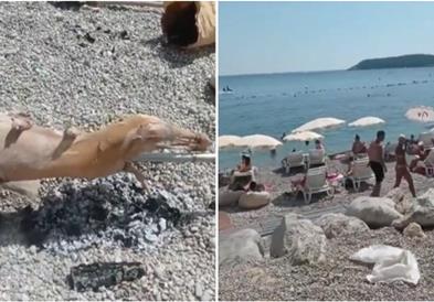 Видео: На плажа во Црна Гора се пече јагне