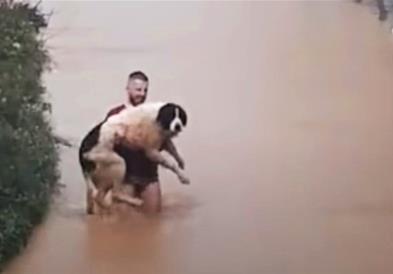 Херој на поплавите во БиХ: Сараевчанец истрча по долна облека за да спаси куче (ВИДEO)