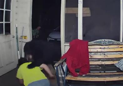 Маж со голи раце се бори со мечка за да си ги спаси кучињата (ВИДЕО)