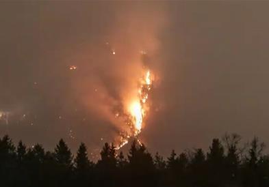 Горат викендички во голем шумски пожар во Словенија (ВИДЕО)