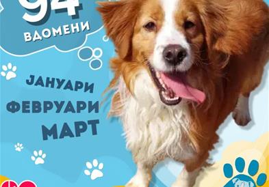 ЈП ЛАЈКА: Во првото тромесечие вдомени 94 кучиња
