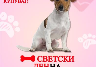 ЈП ЛАЈКА со своја кампања го одбележува 4 април - Светскиот ден на бездомните животни