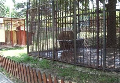 Штипскиот ЗОО парк има нови жители