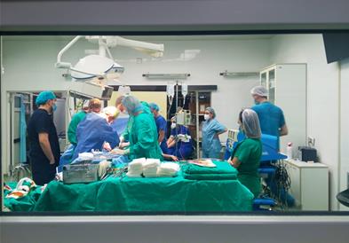 МЗ: Успешно се изведува третата по ред трансплантација од почетокот на годинава