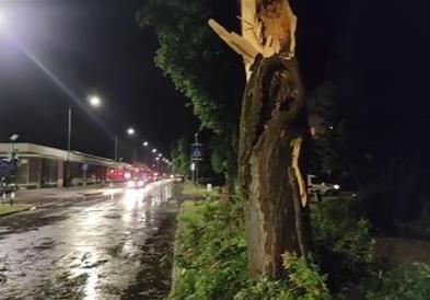 Фото: Силно невреме во Хрватска, ветерот кршел дрвја 