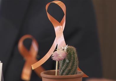 Светски ден на лицата со мултипла склероза