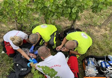 Хрватка се породила во лозје во Унгарија и го оставила бебето да умре