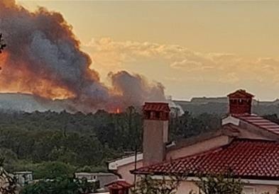 Видео: Голем пожар во Истра кај Новиград