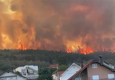 Голем пожар во близина на Прешево, огнот се приближува кон куќите (ВИДЕО)