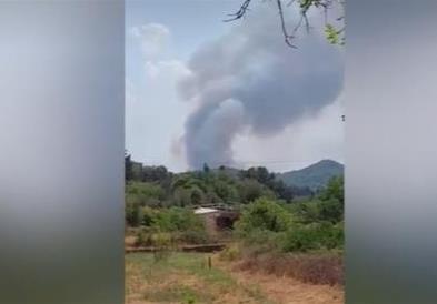 Боровата шума на Паг во Хрватска гореше утринава,неколку илјади посетители евакуирани