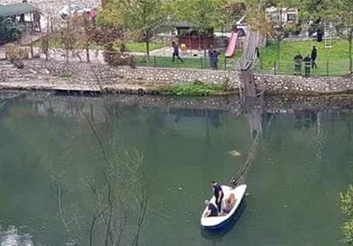 Ужас во Србија: Се урна висечки мост во надојдена река, има загинати (ВИДЕО)