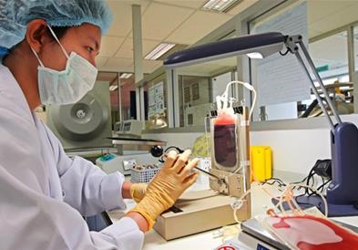 Крв направена во лабораторија за прв пат се користи за трансфузија 