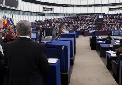 Европски парламент: Разочарани сме од одлуката за овластувањата на претседателот на Црна Гора