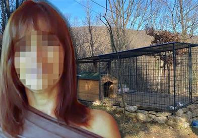 Виолета М., жената која ги пуштила кучињата-убијци, за да го изгризаат до смрт српскиот новинар