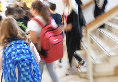 Дете од Србија ја украло заштедата на родителите, па ги делело еврата за да биде славен 