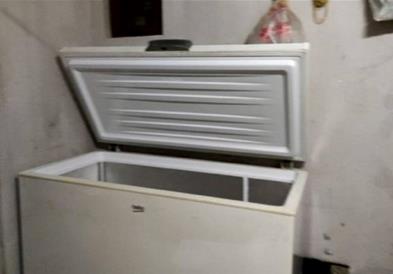 Објавени се резултатите од обдукцијата на новороденчето, најдено во замрзнувач во Србија 