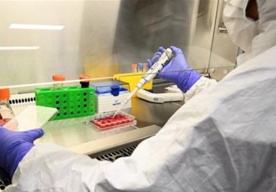 Научниците се на чекор до откривање вакцини против рак и срцеви заболувања 